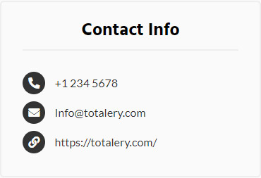 Frontend style of contact details in Listdom classifieds WP